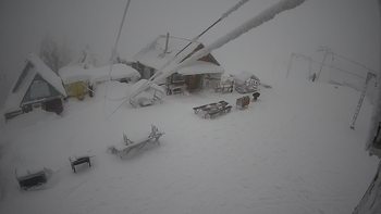 Тростян 24 грудня 2021 року, 2021-12-24 13:00
