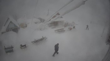 Тростян 26 грудня 2021 року, 2021-12-26 16:00
