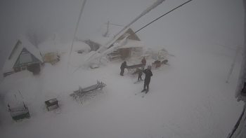 Тростян 28 грудня 2021 року, 2021-12-28 16:00
