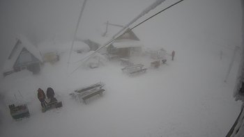Тростян 30 грудня 2021 року, 2021-12-30 10:00