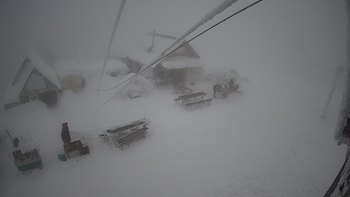Тростян 30 грудня 2021 року, 2021-12-30 13:00