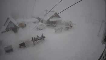 Тростян 31 грудня 2021 року, 2021-12-31 16:00