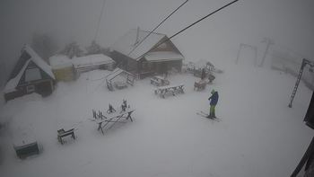 Тростян 4 січня 2022 року, 2022-01-04 13:00
