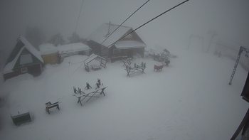 Тростян 4 січня 2022 року, 2022-01-04 16:00