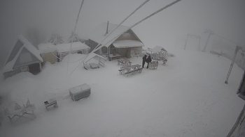 Тростян 14 січня 2022 року, 2022-01-14 10:00