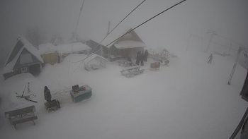 Тростян 17 січня 2022 року, 2022-01-17 13:00