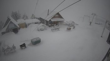 Тростян 17 січня 2022 року, 2022-01-17 16:00
