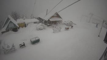 Тростян 20 січня 2022 року, 2022-01-20 10:00