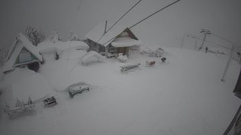 Тростян 23 січня 2022 року, 2022-01-23 16:00