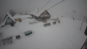 Тростян 25 січня 2022 року, 2022-01-25 10:00