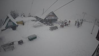 Тростян 25 січня 2022 року, 2022-01-25 13:00