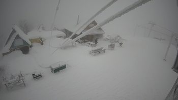 Тростян 27 січня 2022 року, 2022-01-27 10:00