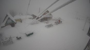 Тростян 27 січня 2022 року, 2022-01-27 13:00