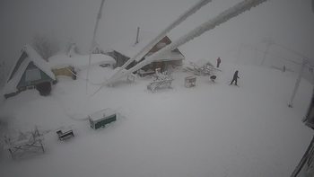 Тростян 27 січня 2022 року, 2022-01-27 16:00