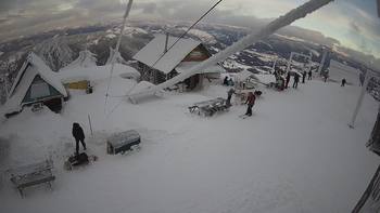 Тростян 29 січня 2022 року, 2022-01-29 16:00