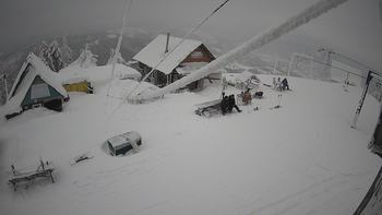 Тростян 1 лютого 2022 року, 2022-02-01 13:00