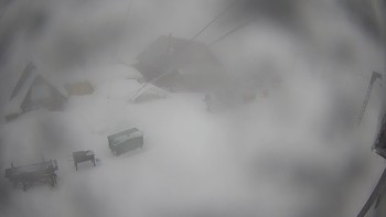 Тростян 17 лютого 2022 року, 2022-02-17 13:00
