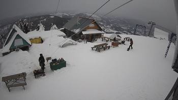 Тростян 20 лютого 2022 року, 2022-02-20 13:00