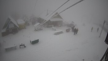 Тростян 8 січня 2023 року, 2023-01-08 16:00
