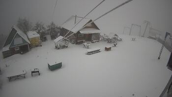 Тростян 21 січня 2023 року, 2023-01-21 10:00
