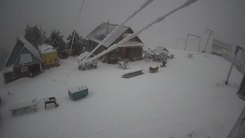 Тростян 29 січня 2023 року, 2023-01-29 13:00