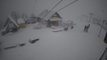 Тростян 4 лютого 2023 року, 2023-02-04 13:00