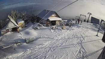 Тростян 20 січня 2024 року, 2024-01-20 10:00