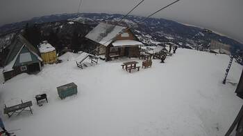 Тростян 23 січня 2024 року, 2024-01-23 13:00