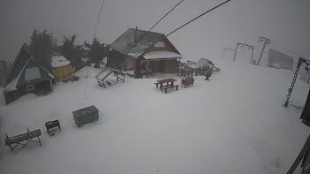 Тростян 24 січня 2024 року, 2024-01-24 16:00