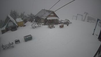 Тростян 25 січня 2024 року, 2024-01-25 16:00