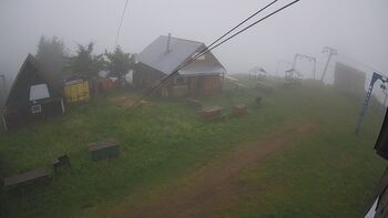 Тростян 1 червня 2024 року, 2024-06-01 10:00