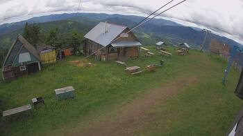 Тростян 2 червня 2024 року, 2024-06-02 13:00