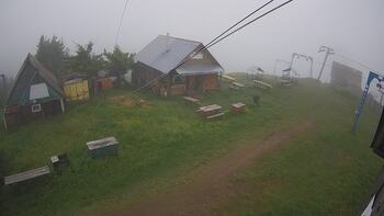 Тростян 5 червня 2024 року, 2024-06-05 10:00