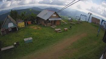 Тростян 6 червня 2024 року, 2024-06-06 10:00