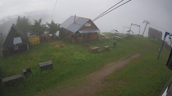 Тростян 7 червня 2024 року, 2024-06-07 10:00