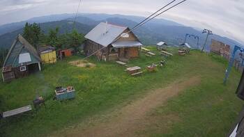 Тростян 9 червня 2024 року, 2024-06-09 13:00