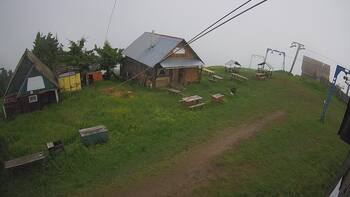 Тростян 10 червня 2024 року, 2024-06-10 16:00