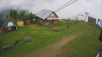 Тростян 11 червня 2024 року, 2024-06-11 13:00