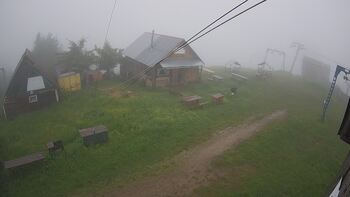 Тростян 11 червня 2024 року, 2024-06-11 16:00