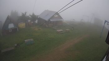 Тростян 13 червня 2024 року, 2024-06-13 10:00