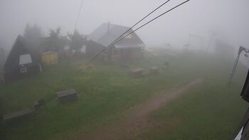 Тростян 13 червня 2024 року, 2024-06-13 16:00