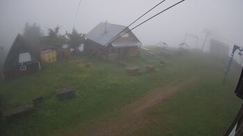 Тростян 14 червня 2024 року, 2024-06-14 10:00
