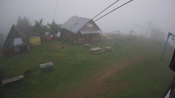 Тростян 14 червня 2024 року, 2024-06-14 13:00