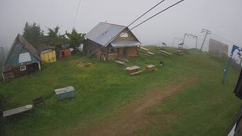 Тростян 14 червня 2024 року, 2024-06-14 16:00