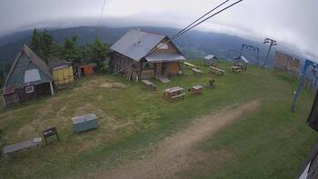 Тростян 20 червня 2024 року, 2024-06-20 10:00