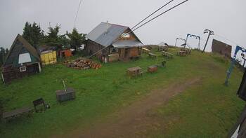 Тростян 21 липня 2024 року, 2024-07-21 13:00