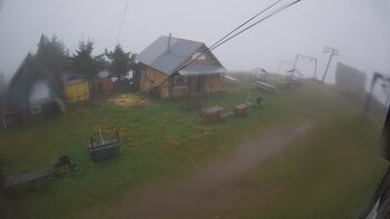 Тростян 11 вересня 2024 року, 2024-09-11 10:00