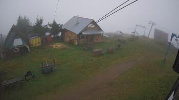Тростян 11 вересня 2024 року, 2024-09-11 16:00