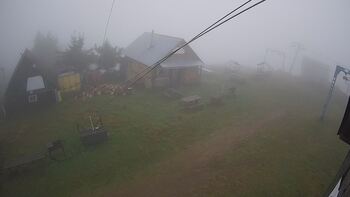 Тростян 26 вересня 2024 року, 2024-09-26 10:00