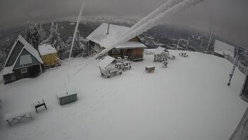 Тростян 13 грудня 2024 року, 2024-12-13 10:00